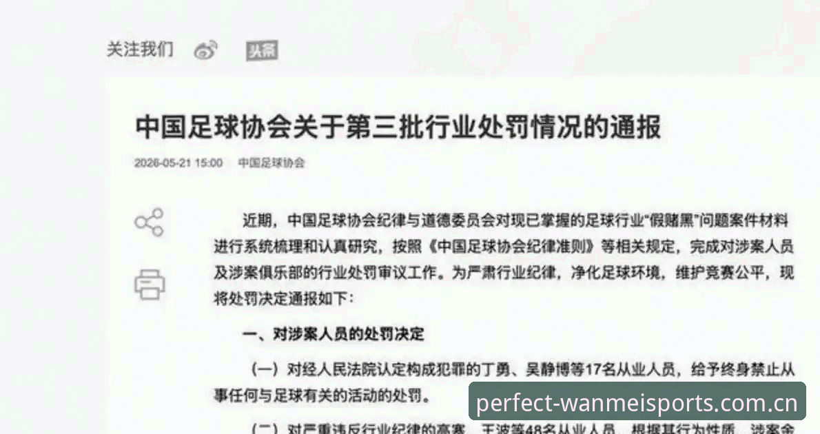 完美体育中国用户评测 中国足协第三批禁足名单全面评测:65人受罚背后的行业风暴